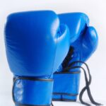 blue boxing gloves, isolated on white background, fight-1434861.jpg